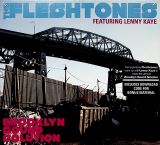 Fleshtones Brooklyn Sound Solution