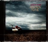 Depeche Mode A Broken Frame