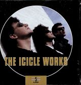Icicle Works 5 Albums Box Set