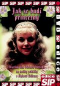 Postránecký Václav Jak se budí princezny - DVD