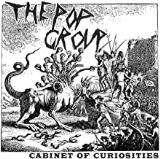 Pop Group Cabinet Of Curiosities