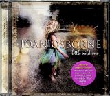 Osborne Joan Little Wild One