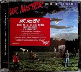 Mr. Mister Welcome To The Real World