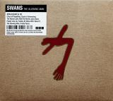Swans Glowing Man