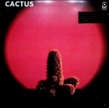 Cactus Cactus