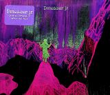 Jagjaguwar Give A Glimpse Of What Yer Not