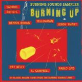 Dream Catcher Burning Up (Burning Sounds Sampler)