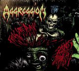 Aggression Feels Like Punk, Sounds Like Thrash -Digi-