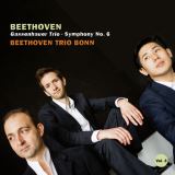 Avi Beethoven, Gassenhauer Trio & Symphony No. 6