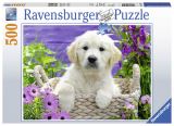 Ravensburger Puzzle Sladký zlatý Retriever 500 dílků