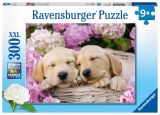 Ravensburger Puzzle Sladc psi v koku/300 dlk