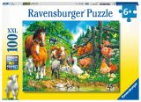 Ravensburger Puzzle Zvata spolu/100 dlk