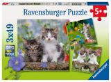 Ravensburger Puzzle Kotka/3x49 dlk