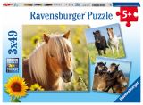 Ravensburger Puzzle Sladcí koně/3x49 dílků