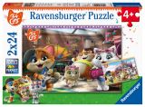 Ravensburger Puzzle Kočičí kapela/2x24 dílků