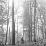 UNIVERSAL MUSIC Folklore