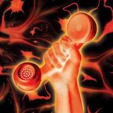 UNIVERSAL MUSIC Secret World Live