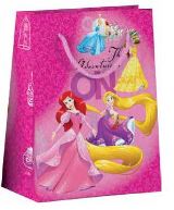EPEE Disney Drkov taka M - Princess Glitter 17 x 23 cm