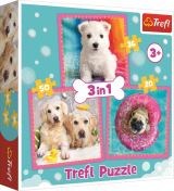 TREFL Puzzle: ttka 3v1 (20,36,50 dlk)