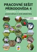 NNS Prodovda 4 - Porozumn v souvislostech (pracovn seit)