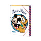 Argus Box na seity A5 Disney Mickey