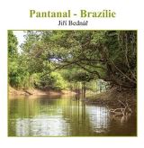 Bedn Ji Pantanal  Brazlie