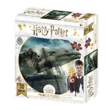 CubicFun Harry Potter 3D puzzle - Norbert 300 dlk