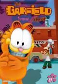 NORTH VIDEO Garfield 13 - DVD slim box