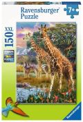 Ravensburger Ravensburger Puzzle - Dungle 150 dlk