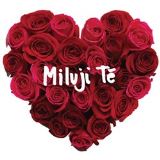 Rzn interpreti Miluji t