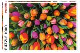 Piatnik Puzzle Tulipny / 1000 dlk