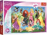 TREFL Puzzle Disney Princess  / Okouzlujc princezny, 100 dlk