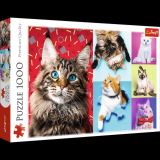 TREFL Puzzle Vesel koky, 1000 dlk