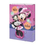 Argus Box na seity A4 Disney Minnie