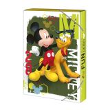 Argus Box na seity A4 Disney Mickey