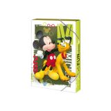 Argus Box na seity A5 Disney Mickey