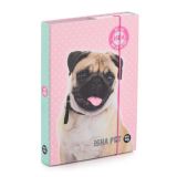 Karton P+P Box na seity A5 ISHA - My love Pet