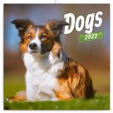 Presco Group Poznmkov kalend Dogs 2022