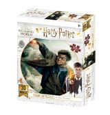 EPEE Harry Potter 3D puzzle - Harry Potter 300 dlk