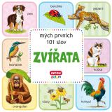 Infoa Mch prvnch 101 slov - Zvata