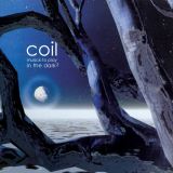 Coil Musick To Play In The Dark2
