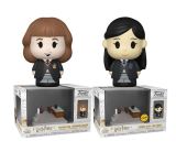 Funko Funko POP Diorama: Harry Potter Anniversary - Hermione