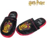 EPEE Harry Potter Bakory - Nebelvr (42-45)