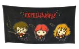 EPEE Harry Potter Osuka 75x150 cm - Kawaii