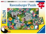 Ravensburger Ravensburger Puzzle - Koaly a lenochodi 2x24 dlk