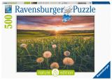 Ravensburger Ravensburger Puzzle - Pampeliky v zpadu slunce 500 dlk