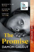 Vintage Publishing The Promise