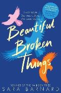 Pan Macmillan Beautiful Broken Things