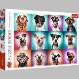TREFL Trefl Puzzle Legran portrty ps II / 2000 dlk