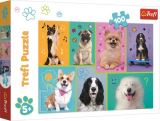 TREFL Trefl Puzzle V psm svt 100 dlk